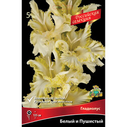 ����  ��������� ����� � ��������, ������ �� 688 ���