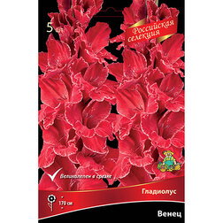 ����  ��������� ����� (5 ��.), ������ �� 595 ���