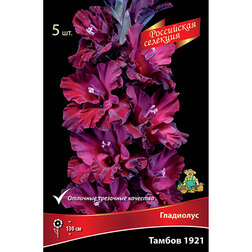 ����  ��������� ������ 1921 (5 ��.), ������ �� 637 ���