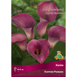 ����  ����� ������ ������, ������ �� 360 ���