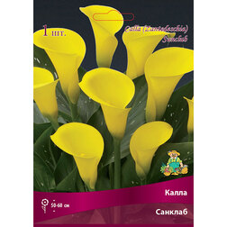 ����  ����� �������, ������ �� 360 ���