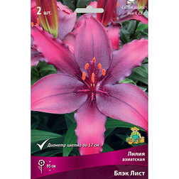 ����  ����� ��������� ���� ���� (2 ��.), ������ �� 319 ���