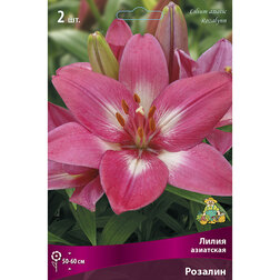 ����  ����� ��������� ������� (2 ��.), ������ �� 370 ���