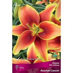 ����  ����� ��-������ ������ ������, ������ �� 414 ���