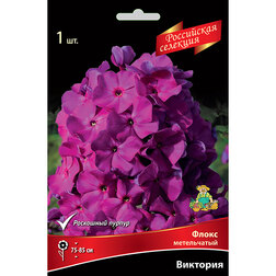 ����  ����� ����������� ��������, ������ �� 268 ���