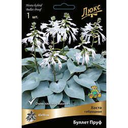 ����  ����� ��������� ������ ���� *, ������ �� 552 ���