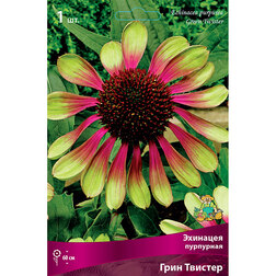 ����  �������� ��������� ���� �������, ������ �� 416 ���