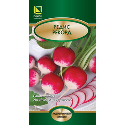 ����  ������ ������ ������, ������ �� 32 ���