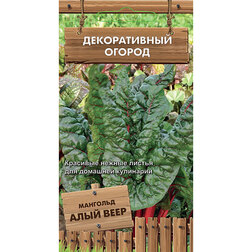 ����  �������� ���� ���� (������������ ������ ), ������ �� 30 ���