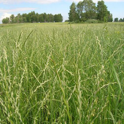 ����  ������� ���������� ���-66 (1 ��), ������ �� 476 ���