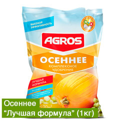 ����  ������� ������ ������� (1��.) 