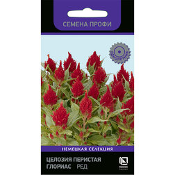 ����  ������� �������� ������� ��� (������ �����), ������ �� 39 ���