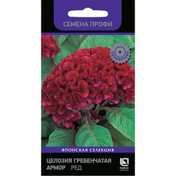 ����  ������� ����������� ����� ��� (������ �����), ������ �� 35 ���