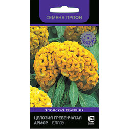 ����  ������� ����������� ����� ����� (������ �����), ������ �� 35 ���