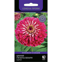 ����  ������ ������� ������ ����� (������ �����), ������ �� 115 ���