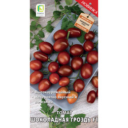 ����  ����� ���������� ������ F1, ������ �� 30 ���