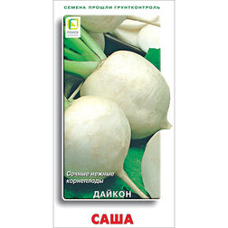 ����  ������ ����, ������ �� 25 ���