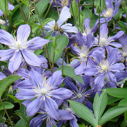 ����  �������� ������������ �������� (1-�����), ������ �� 599 ���