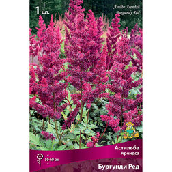 ����  �������� ������� (�������� ���), ������ �� 263 ���