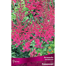 ����  �������� ��������� ��������, ������ �� 360 ���