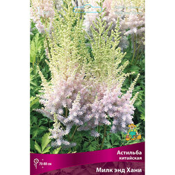 ����  �������� ��������� ���� ��� ����, ������ �� 328 ���