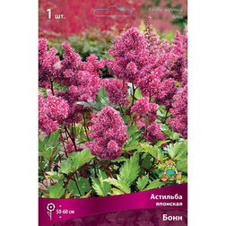 ����  �������� �������� ����, ������ �� 263 ���