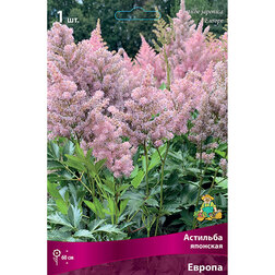 ����  �������� �������� ������, ������ �� 263 ���