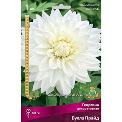 ����  �������� ������������ ����� �����, ������ �� 433 ���