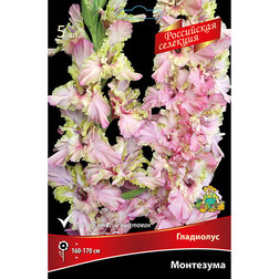 ����  ��������� ��������� (5 ��.), ������ �� 688 ���