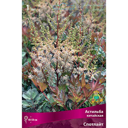 ����  �������� ��������� ��������, ������ �� 336 ���