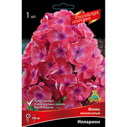 ����  ����� ����������� ��������, ������ �� 268 ���