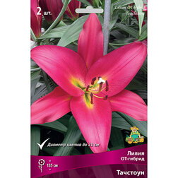 ����  ����� ��-������ ��������, ������ �� 370 ���