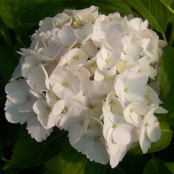 ����  ��������� �������������� ����� ����� �����, ������ �� 612 ���