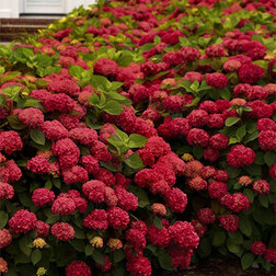 ����  ��������� �������������� ��� ���� �������, ������ �� 612 ���