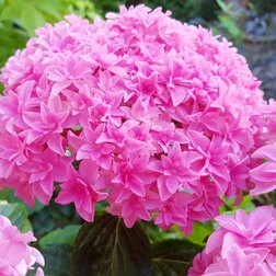 ����  *��������� �������������� � ��� �� �������� (����� �� ����), ������ �� 994 ���