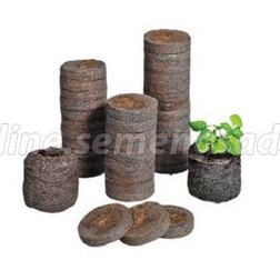 ����  �������� �JIFFY-7� (33��), ������ �� 10 ���