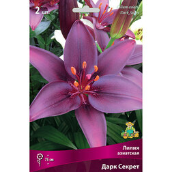 ����  ����� ��������� ���� ������, ������ �� 319 ���