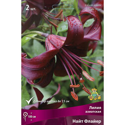 ����  ����� ��������� ���� ������, ������ �� 455 ���