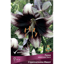 ����  ����� ��������� ������������ �����, ������ �� 462 ���