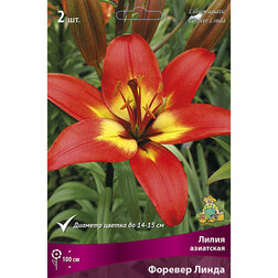 ����  ����� ��������� ������� ����� (2 ��.), ������ �� 319 ���