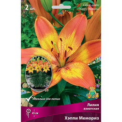 ����  ����� ��������� ����� ������� (2 ��.), ������ �� 299 ���