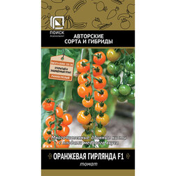 ����  ����� ��������� �������� F1, ������ �� 38 ���