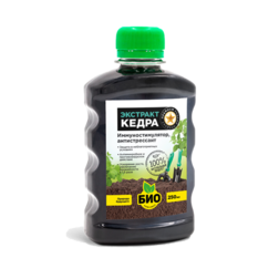 ����  �������� ����� (0,25�.) ���-��������, ������ �� 229 ���