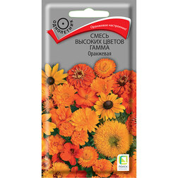 ����  ����� ������� ������ ����� ���������, ������ �� 28 ���