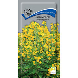 ����  ��������� ������� ������, ������ �� 36 ���