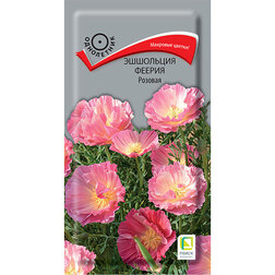 ����  ��������� ������ �������, ������ �� 35 ���