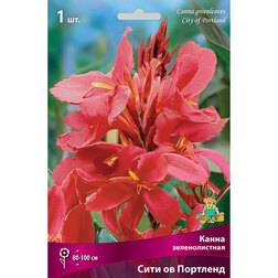 ����  ����� ������������� ���� �� ��������, ������ �� 314 ���