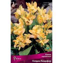 ����  ����� ���������� ������ �������, ������ �� 326 ���