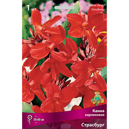 ����  ����� ���������� ���������, ������ �� 348 ���