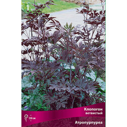 ����  �������� ��������� ������������, ������ �� 642 ���